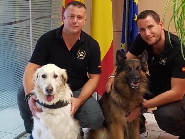 Introducció de cans detectors en unitats canines policials