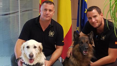 Introducció de cans detectors en unitats canines policials